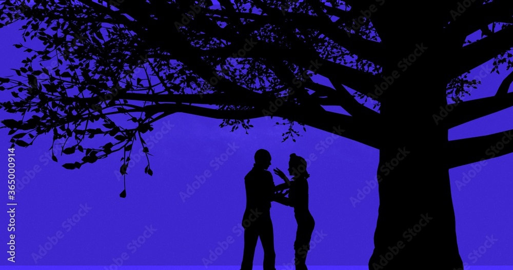Boy proposes the girl and kisses her under a tree sky full of stars