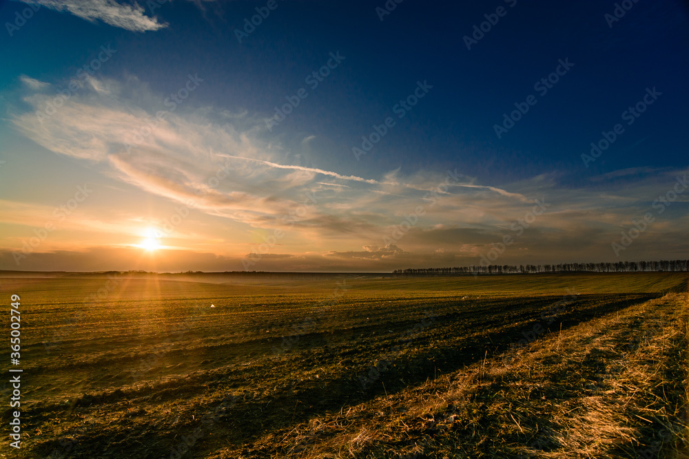 Fototapeta premium Setting sun in a spring field