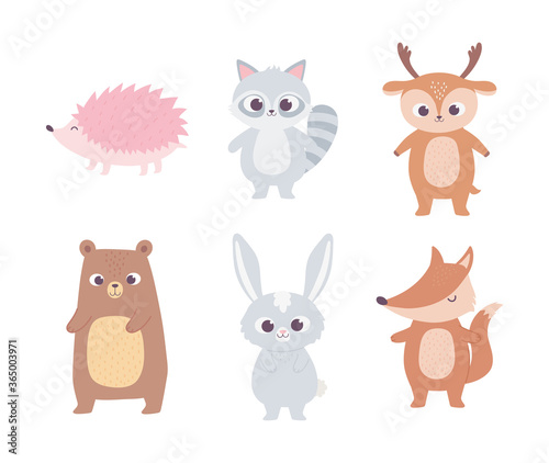 cute cartoon animals little bear raccoon deer rabbit fox and hedgehog