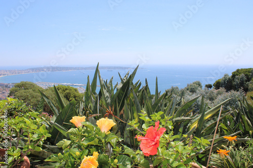 Panorama avec vue sur la mer et fleurs