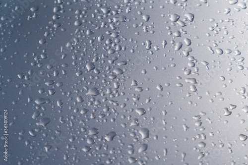 Background water drops. Natural pattern of rain drops.