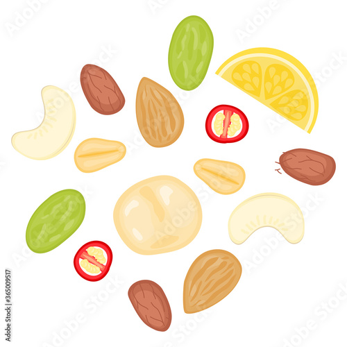flat lay food illustration of mix nuts with lemon and red chili sliced. almond, cashew nut, peanut, pistachio, macadamia.
