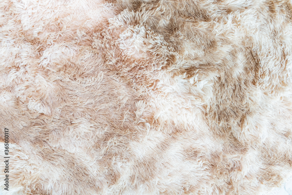 Wool fur background. Detail of sheep fur. Wool fur background. Detail of sheep fur.