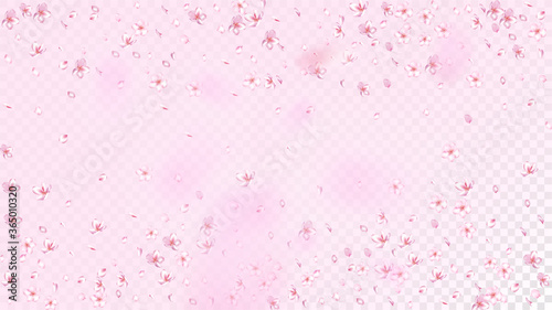 Nice Sakura Blossom Isolated Vector. Summer Flying 3d Petals Wedding Border. Japanese Oriental Flowers Illustration. Valentine, Mother's Day Pastel Nice Sakura Blossom Isolated on Rose