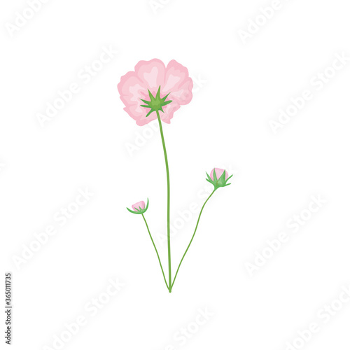 branch with pink flowers icon  detailed style