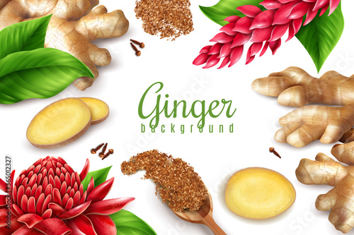 Ginger Realistic Background Frame