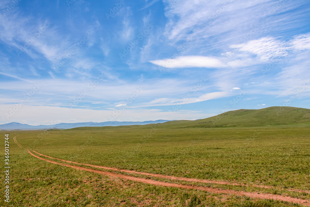A track across a Mongolian grassland with mountains in the background A track across a Mongolian grassland with mountains in the background