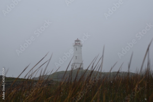 lighthouse on the coast