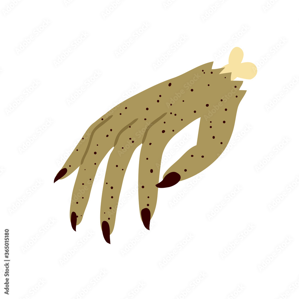 Vettoriale Stock Torn out hand with long dark nails and with bone. Dead  body part isolated on white background. Scary zombie hand. Halloween  decoration design. Flat style drawing. Stock vector illustration