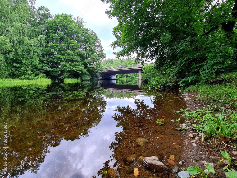 bridge over the river