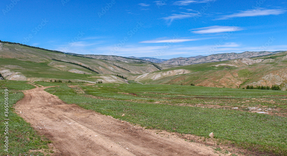Dirt track leading up a Mongolian grassland valley on a summer day