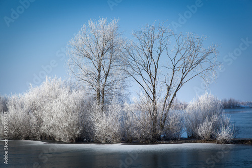 Winterlicher Kronthaler Weiher in Erding, Bayern mit viel Frost und Eis
