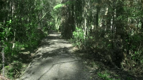 Nature walk Hunua Falls  Hunua Ranges Regional Park Auckland New Zealand