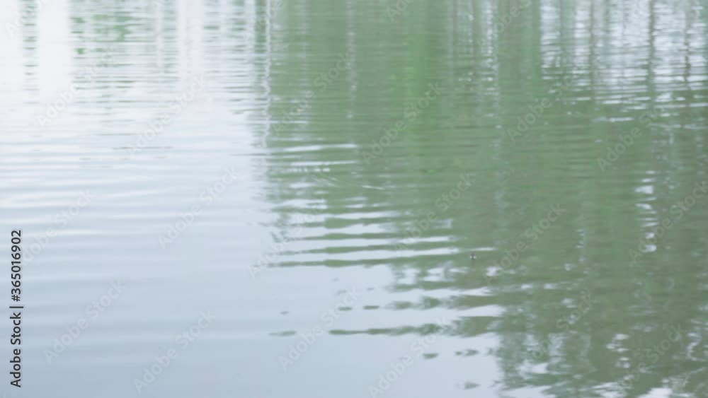 Waves on ripple surface and reflection on puddle of water after the rain Waves on ripple surface and reflection on puddle of water after the rain