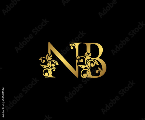 Golden NB, N and B Luxury Logo Icon, Vintage Gold Initials Mark Design. Elegant luxury gold color on black background