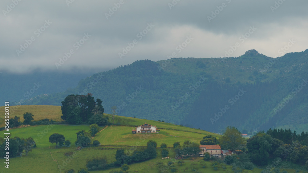 Rural Basque country lifestyle. Farming, private houses, herds of sheeps grazing in the meadow. Green country. Low clouds. Ecological and healthy concepts.
