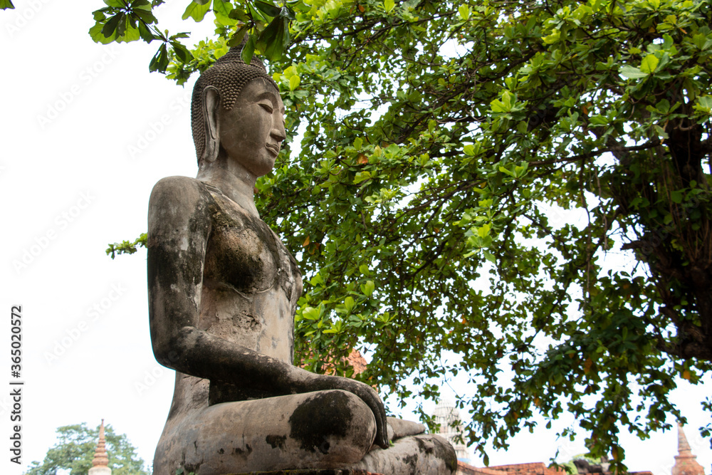 
bronze buddha statue under the trees in thailand