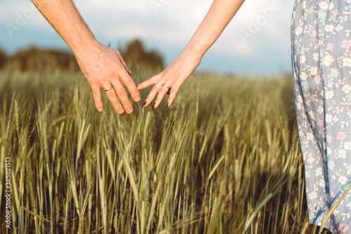 A man s hand and a woman s hand together in a field of wheat. Harvest  way of life  the concept of family
