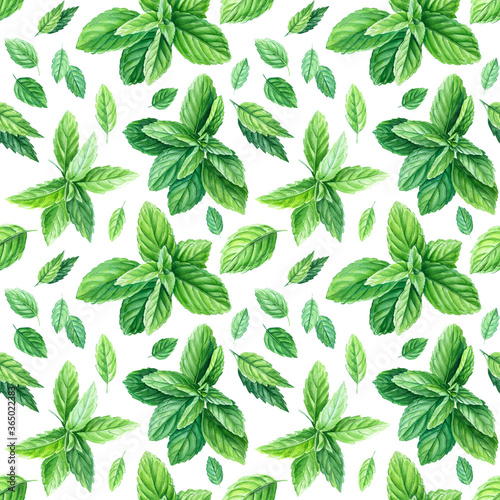 Mint Seamless patterns, watercolor painting, on isolated background © Hanna