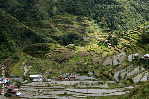 The Batad village cluster-part of the Rice Terraces of the Philippine Cordilleras UNESCO World Heritage Site in the cultural landscape category. Banaue-Ifugao province-Cordillera region-Luzon island.