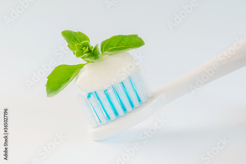 Toothbrush with paste and mint leaves on a light background. The concept of dental care  refreshing toothpaste  dentistry.