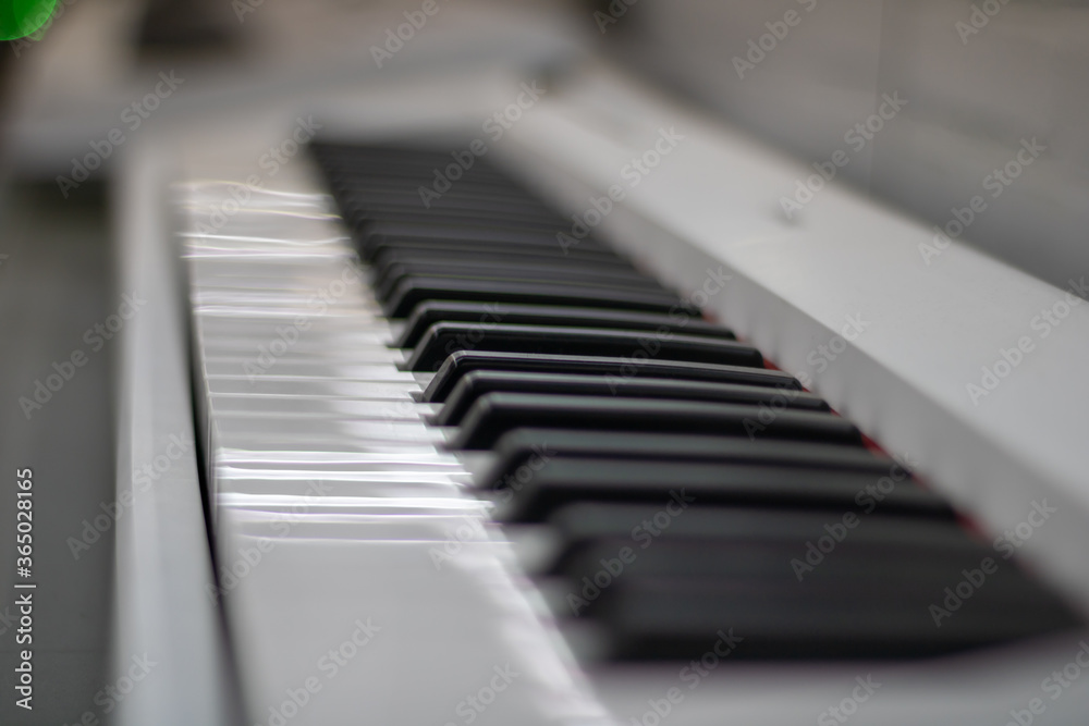Black and white synthesizer keys. Musical inspiration. Black and white synthesizer keys. Musical inspiration.