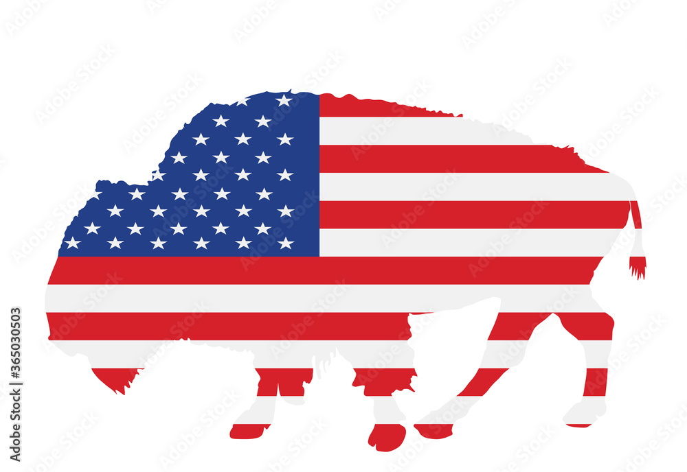 United States of America flag over bison vector isolated. USA flag over buffalo, national symbol, pride and power animal.