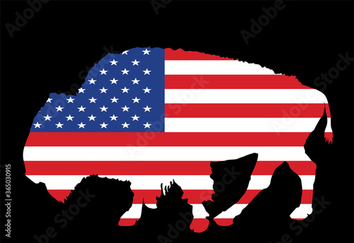 United States of America flag over bison vector isolated. USA flag over buffalo, national symbol, pride and power animal.