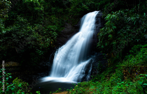 Fototapeta Naklejka Na Ścianę i Meble -  Waterfall in Kerala, India