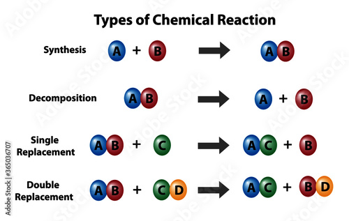Four types of chemical reactions, a diagram of synthesis, decomposition, single replacement, and double replacement. photo