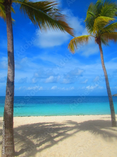 Deux palmiers sur la plage de sable blanc devant la paradisiaque mer turquoise