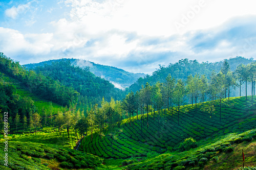 Photography Landscape from Thekkady, a location in Idduki District of Kerela, India