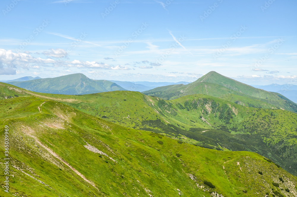 Picturesque Carpathian mountains landscape, panorama view of the Chornohora ridge with highest Ukrainian mountains Hoverla and Petros