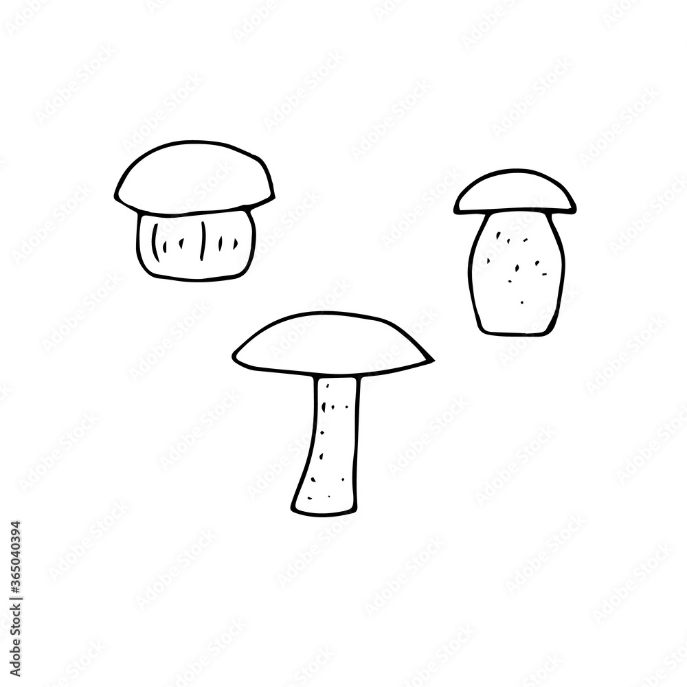 Set of mushrooms, vector illustration, hand drawing Set of mushrooms, vector illustration, hand drawing