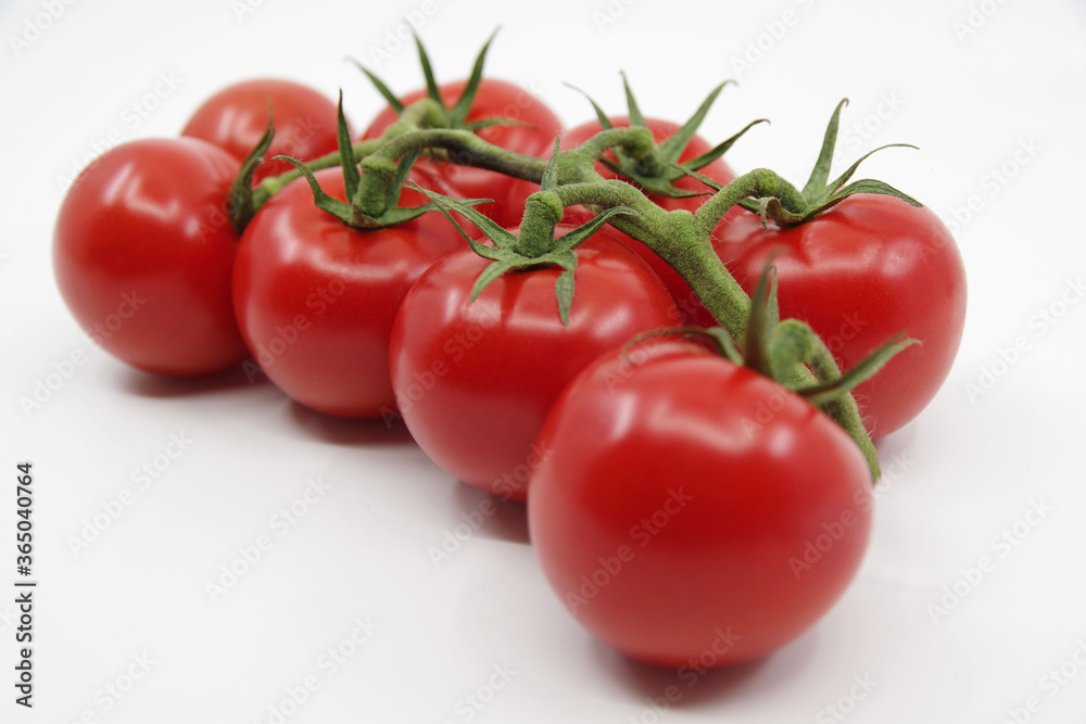 Tomato branch. Tomatoes isolated on a white background. Red tomatoes on a twig on a white background. Tomato branch. Tomatoes isolated on a white background. Red tomatoes on a twig on a white background.