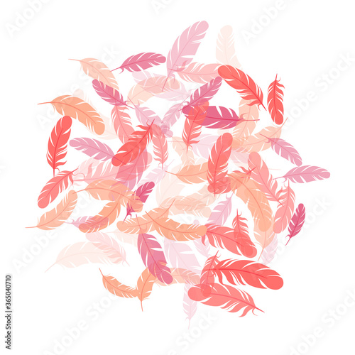 Flying feather elements airy vector design.