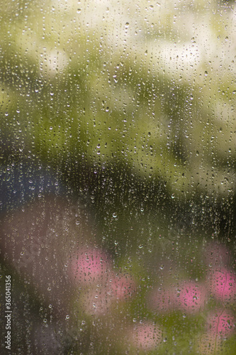 Drops of rain on the window. Copy space.