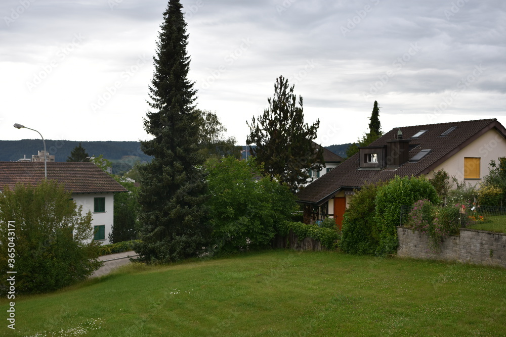 Typical family houses in Switzerland countryside and villages in canton Zurich with gardens full of green vegetables and fruit trees during summer early evening under overcast sky Typical family houses in Switzerland countryside and villages in canton Zurich with gardens full of green vegetables and fruit trees during summer early evening under overcast sky