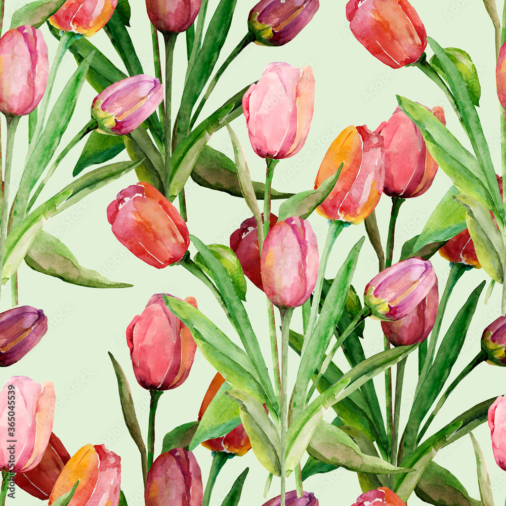 Bouquet of tulips. Seamless pattern. Image on a white and colored background. Bouquet of tulips. Seamless pattern. Image on a white and colored background.