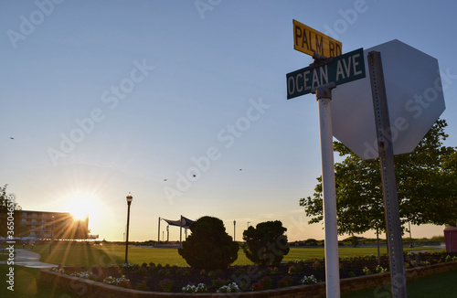 Ocean Avenue Street Sign In Park photo