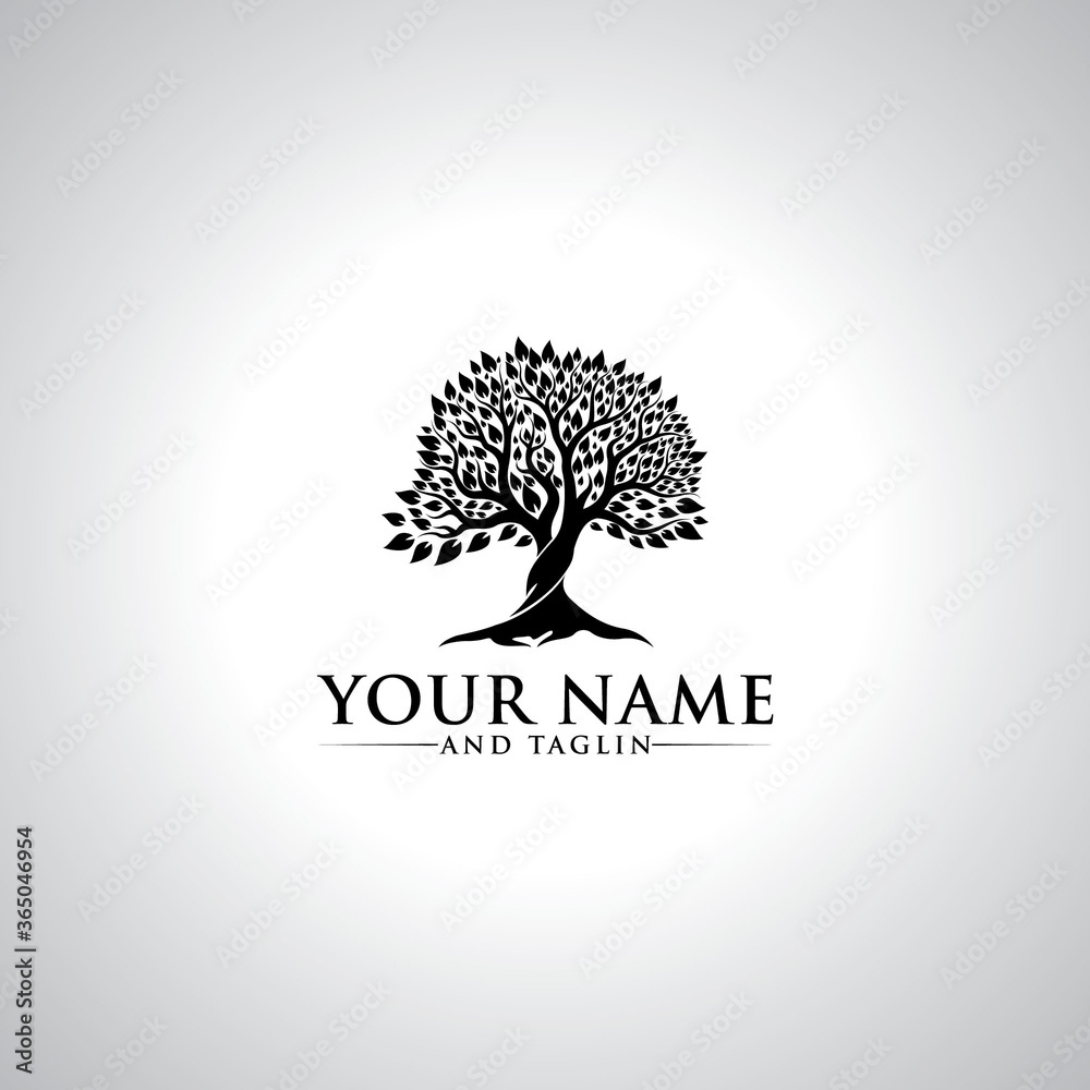 Naklejka premium root of the tree