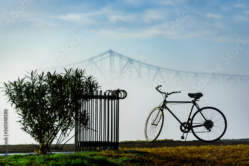 Foggy Morning - Levee Silhouettes - New Orleans
