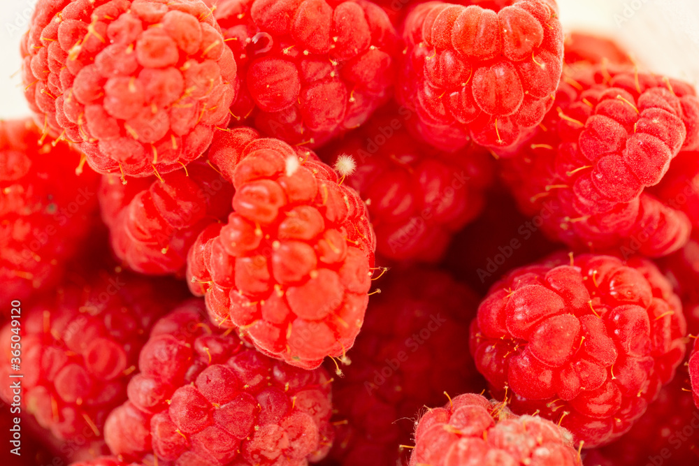 Moldy Raspberries and Strawberries