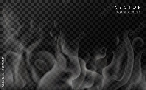 Realistic transparent special effect of hot steam or smoke. Vector gas, vapor, mist, fog isolated on dark background. Wavy elements for menu design