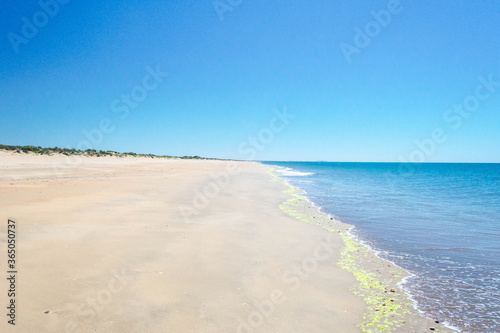 Fototapeta Naklejka Na Ścianę i Meble -  Paradise and lonely white sand beach with blue sky on the Spanish coast. Donana, Huelva, Andalusia, Spain