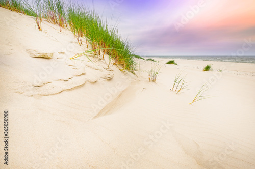 Fototapeta Naklejka Na Ścianę i Meble -  Sandy empty beach by the sea