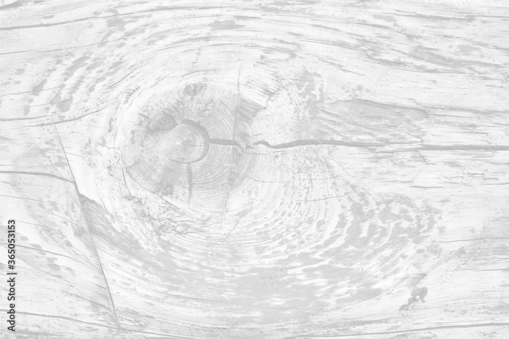 Fototapeta premium White background of wood texture with patterns