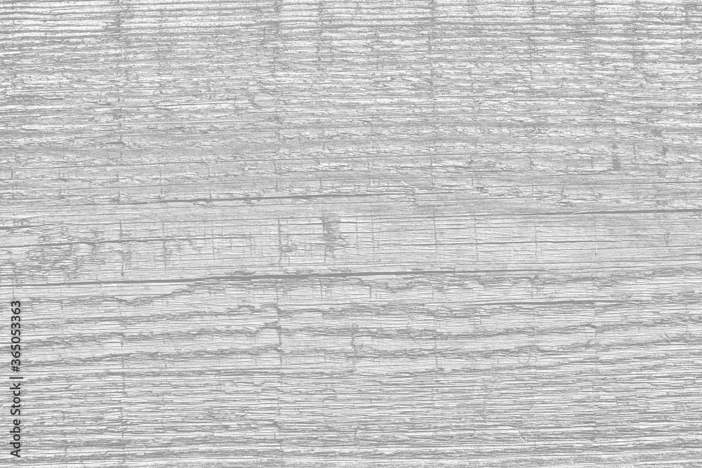 White background of wood texture with patterns White background of wood texture with patterns