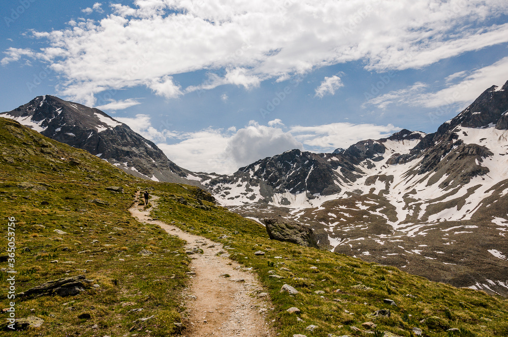 Fototapeta premium Lej Muragl, Muottas Muragl, Val Muragl, Piz Muragl, Wanderweg, Wanderer, Ova da Muragl, Alp Languard, Oberengadin, Engadin, Alpen, Graubünden, Sommer, Schweiz