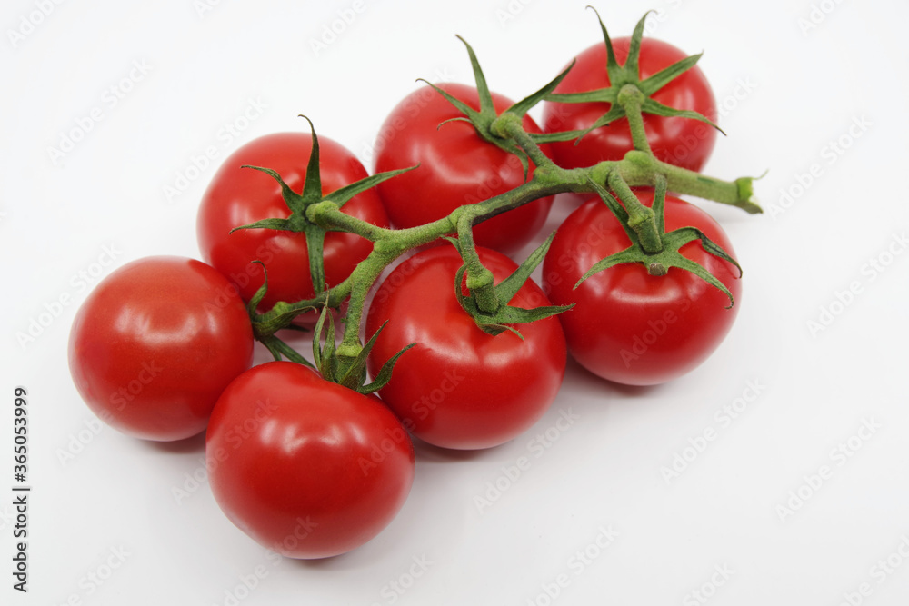 Tomato branch. Tomatoes isolated on a white background. Red tomatoes on a twig on a white background. 